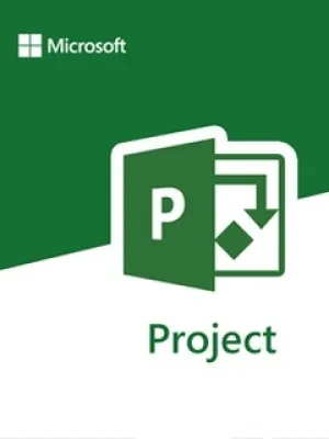 Microsoft Project 