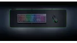 Hướng dẫn cách khắc phục chuột Razer bị lỗi Double Click