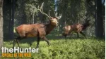 Cuối tuần chơi gì? Tải ngay tựa game Call of the Wild đang được miến phí trên Steam  